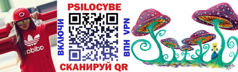 Галлюциногенные грибы Psilocybe где можно купить наркотик MEGA вход Красково